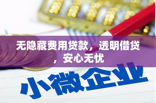 嘉荫无隐藏费用贷款，透明借贷，安心无忧