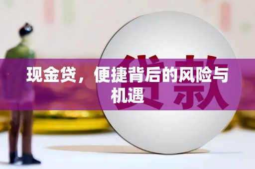 嘉荫现金贷，便捷背后的风险与机遇
