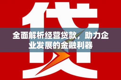 嘉荫全面解析经营贷款，助力企业发展的金融利器