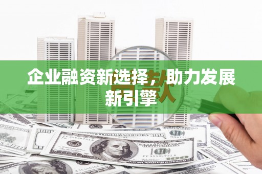 嘉荫企业融资新选择，助力发展新引擎