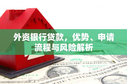嘉荫外资银行贷款，优势、申请流程与风险解析