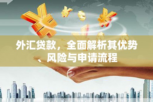嘉荫外汇贷款，全面解析其优势、风险与申请流程