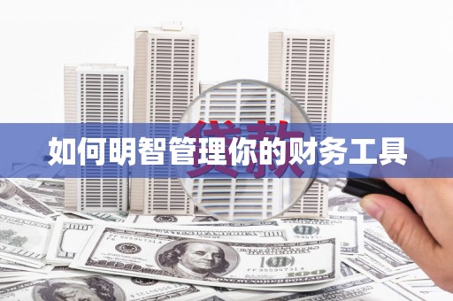 嘉荫如何明智管理你的财务工具