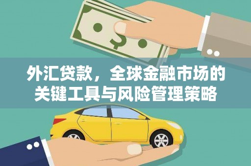 嘉荫外汇贷款，全球金融市场的关键工具与风险管理策略