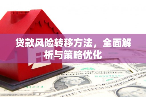 嘉荫贷款风险转移方法，全面解析与策略优化