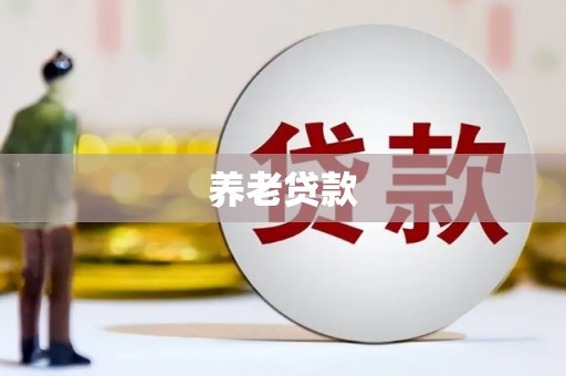 嘉荫养老贷款