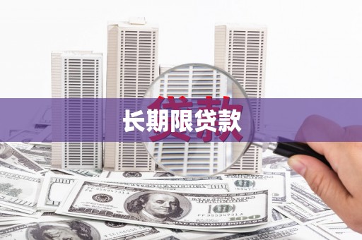 嘉荫长期限贷款