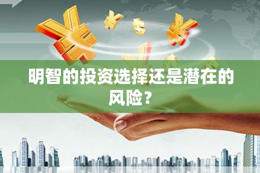 嘉荫明智的投资选择还是潜在的风险？