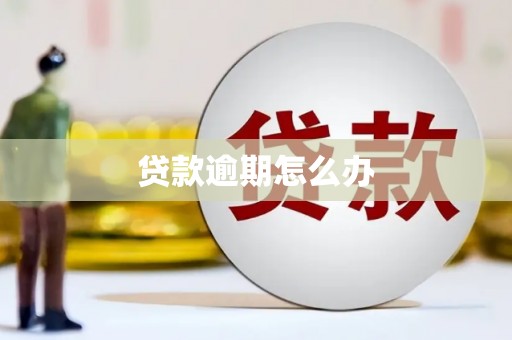 嘉荫贷款逾期怎么办