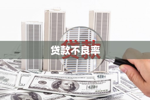 嘉荫贷款不良率
