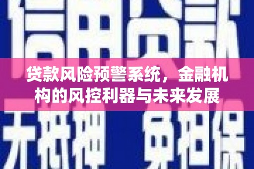 嘉荫贷款风险预警系统，金融机构的风控利器与未来发展