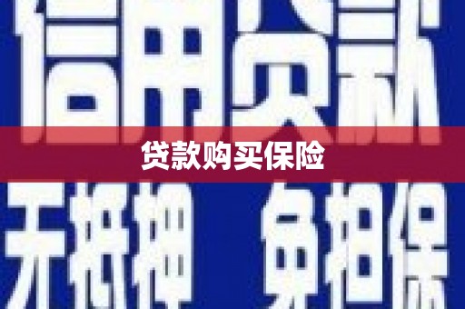 嘉荫贷款购买保险