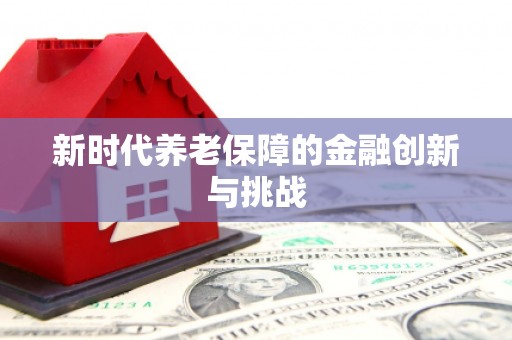 嘉荫新时代养老保障的金融创新与挑战