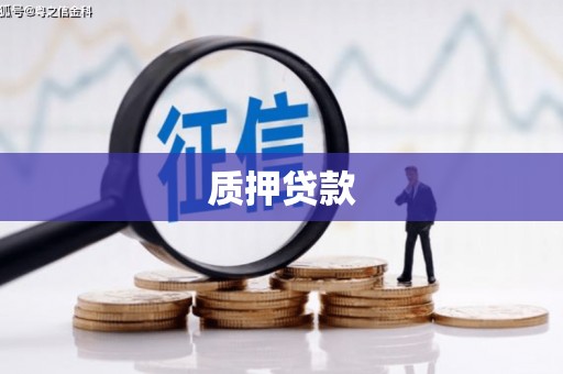 嘉荫质押贷款