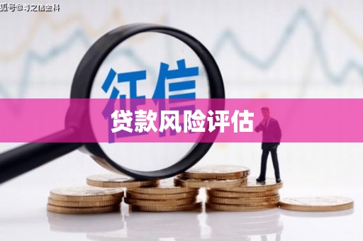 嘉荫贷款风险评估
