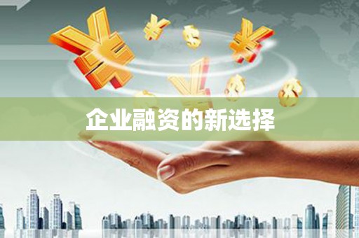 嘉荫企业融资的新选择
