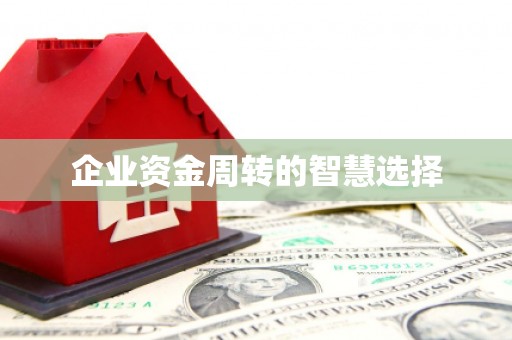 嘉荫企业资金周转的智慧选择