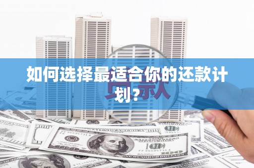 嘉荫如何选择最适合你的还款计划？