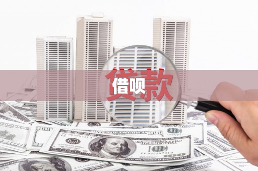 嘉荫借呗