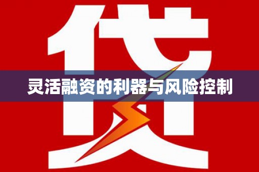 嘉荫灵活融资的利器与风险控制