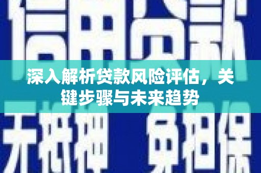 嘉荫深入解析贷款风险评估，关键步骤与未来趋势
