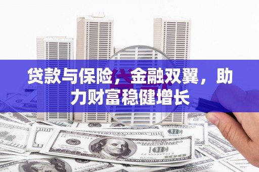 嘉荫贷款与保险，金融双翼，助力财富稳健增长