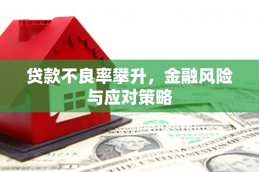 嘉荫贷款不良率攀升，金融风险与应对策略