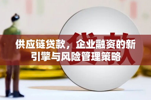 嘉荫供应链贷款，企业融资的新引擎与风险管理策略
