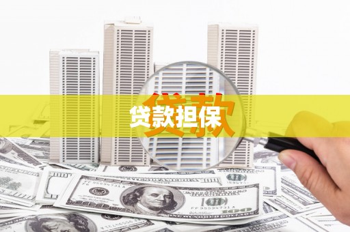 嘉荫贷款担保