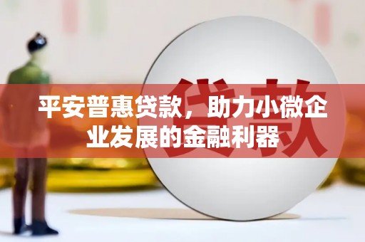 嘉荫平安普惠贷款，助力小微企业发展的金融利器