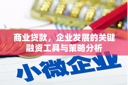 嘉荫商业贷款，企业发展的关键融资工具与策略分析