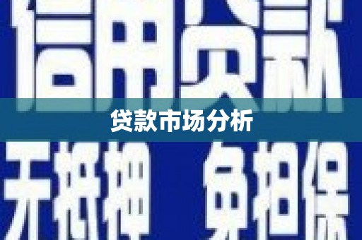 嘉荫贷款市场分析