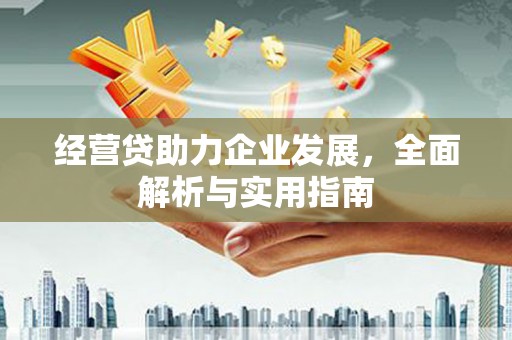 嘉荫经营贷助力企业发展，全面解析与实用指南