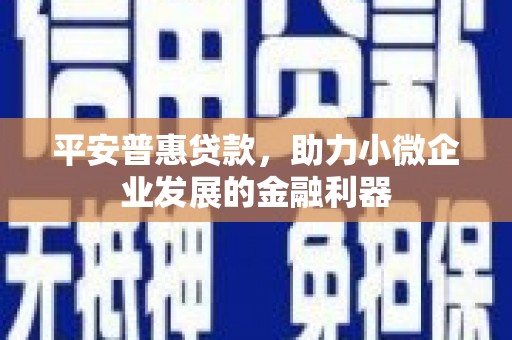 嘉荫平安普惠贷款，助力小微企业发展的金融利器