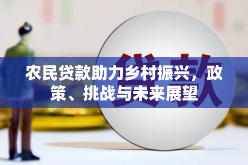 嘉荫农民贷款助力乡村振兴，政策、挑战与未来展望