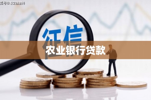 嘉荫农业银行贷款