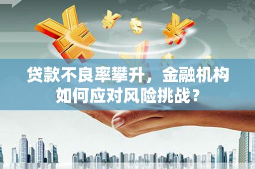 嘉荫贷款不良率攀升，金融机构如何应对风险挑战？