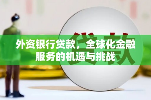 嘉荫外资银行贷款，全球化金融服务的机遇与挑战