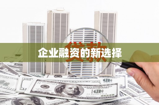 嘉荫企业融资的新选择