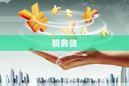 嘉荫税务贷