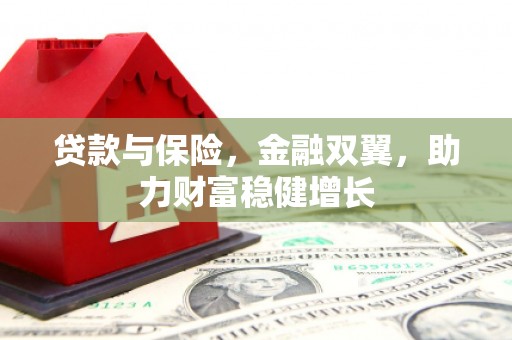 嘉荫贷款与保险，金融双翼，助力财富稳健增长