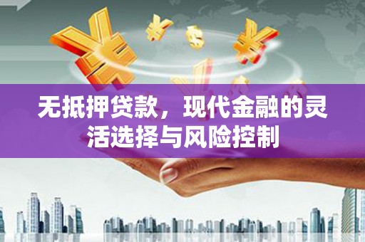 嘉荫无抵押贷款，现代金融的灵活选择与风险控制