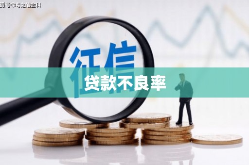 嘉荫贷款不良率