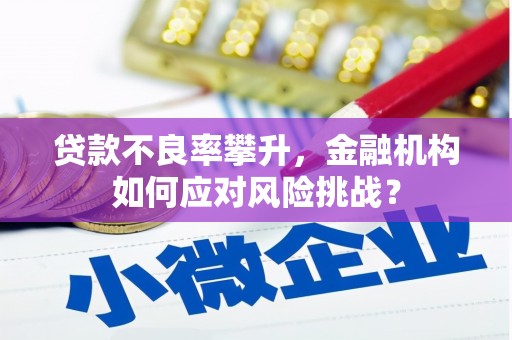 嘉荫贷款不良率攀升，金融机构如何应对风险挑战？