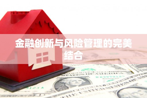 嘉荫金融创新与风险管理的完美结合