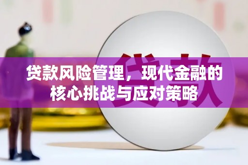 嘉荫贷款风险管理，现代金融的核心挑战与应对策略