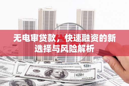 嘉荫无电审贷款，快速融资的新选择与风险解析