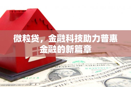 嘉荫微粒贷，金融科技助力普惠金融的新篇章