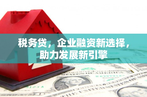 嘉荫税务贷，企业融资新选择，助力发展新引擎