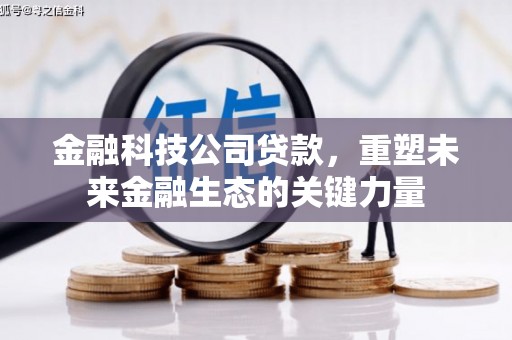嘉荫金融科技公司贷款，重塑未来金融生态的关键力量